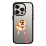 Stubborn Shiba Inu