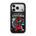 Spider-Man Poster Case