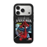 Spider-Man Poster Case